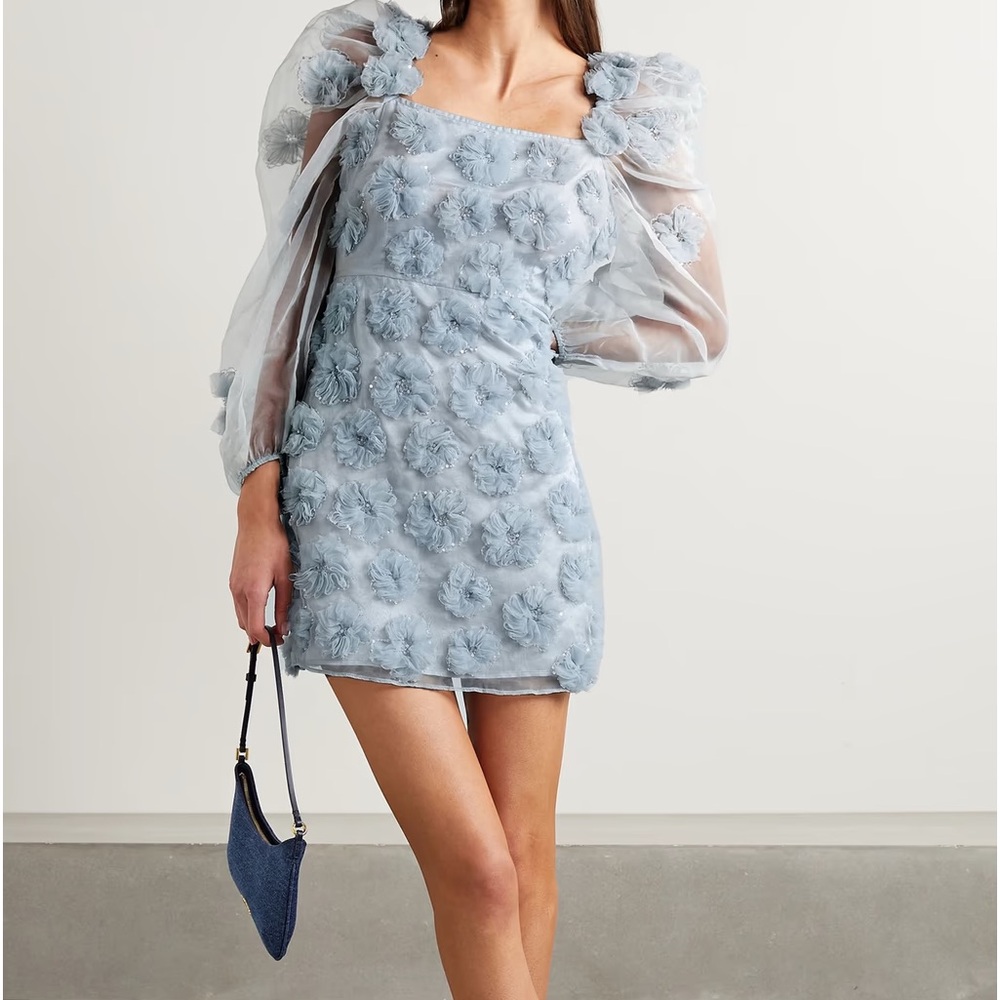 Wells appliquéd organza mini dress